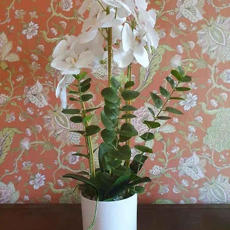 Chateau De Lacenne Bed & Breakfast