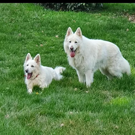 Chateau De Lacenne 3*