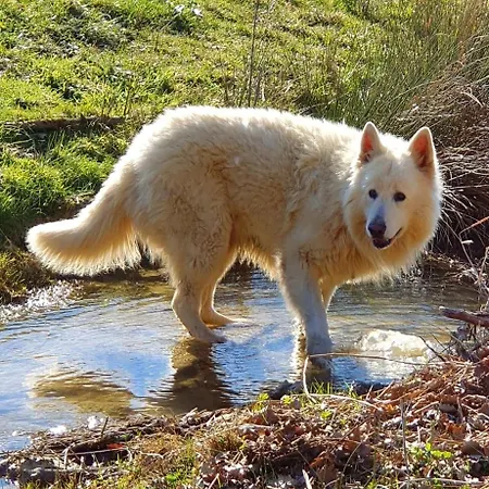 Chateau De Lacenne Sembas