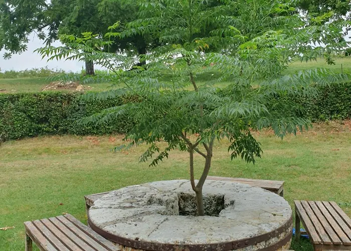 Chateau De Lacenne Bed & Breakfast Sembas