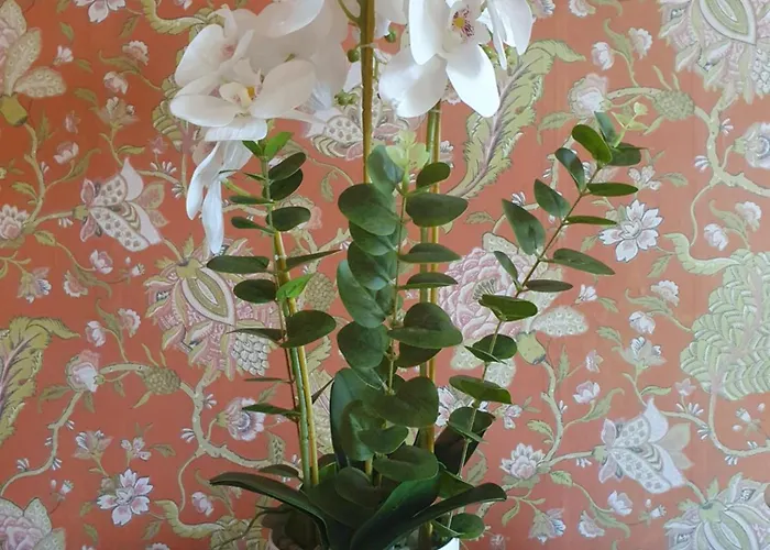 Chateau De Lacenne Bed & Breakfast