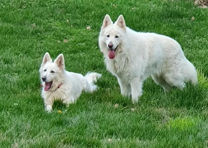 Chateau De Lacenne 3*